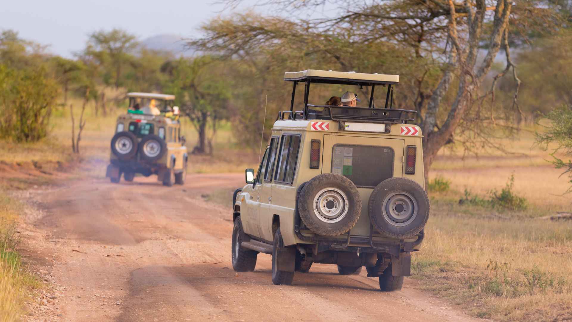 Jeep Tours in Israel