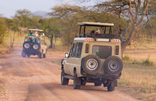Jeep Tours in Israel2